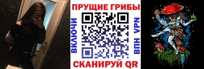 Галлюциногенные грибы прущие грибы  Зеленогорск 